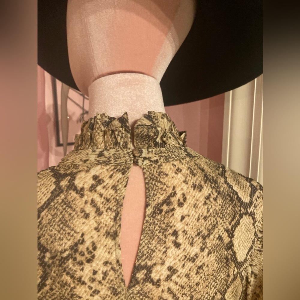 Gorgeous Zara Python Dress - Picture 7 of 8